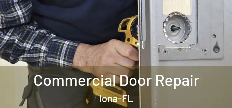  Commercial Door Repair Iona-FL