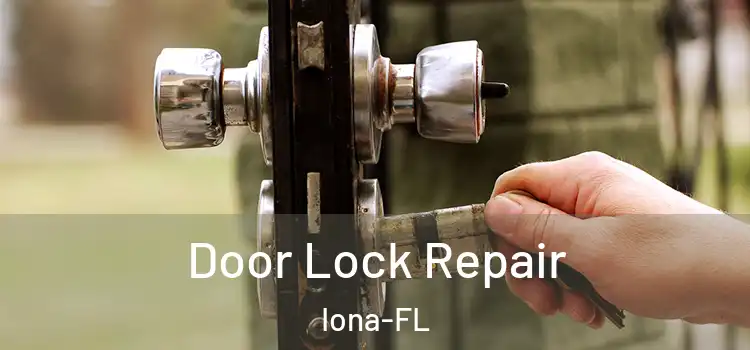  Door Lock Repair Iona-FL