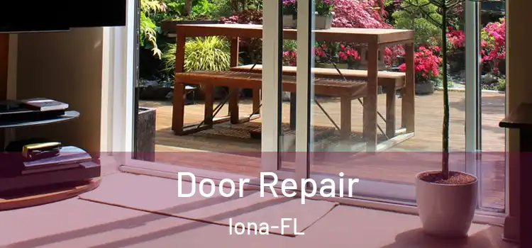  Door Repair Iona-FL