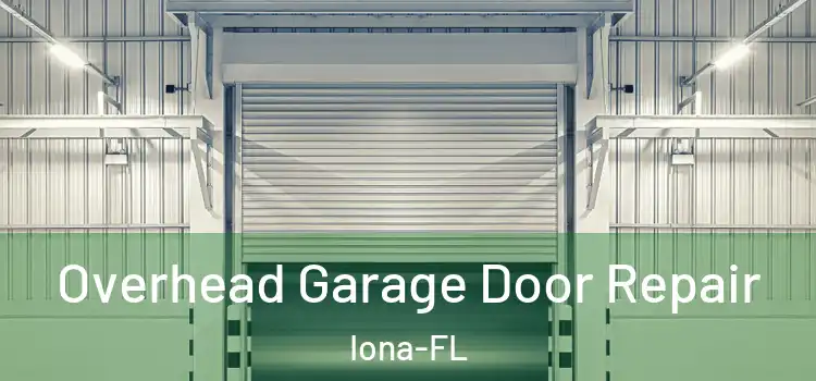 Overhead Garage Door Repair Iona-FL