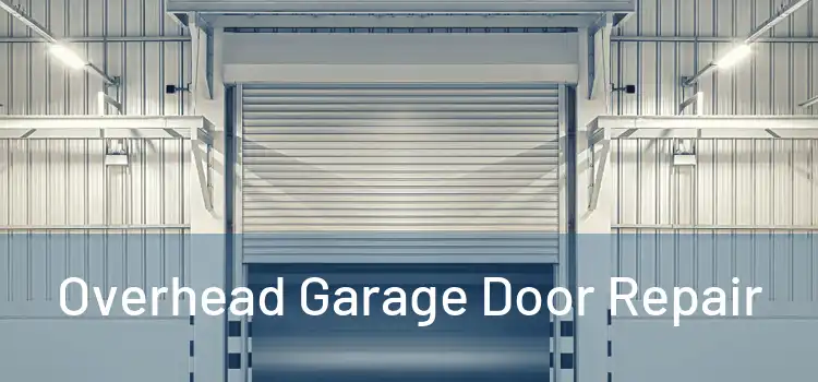  Overhead Garage Door Repair 